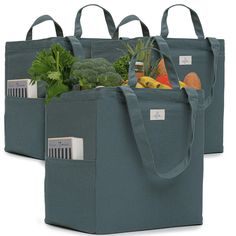 two bags filled with different types of fruits and veggies, one is blue