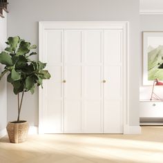 a potted plant sitting in front of a white door with two doors on each side