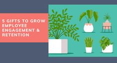 plants and potted plants with the words 5 gifts to grow employee engagement & attention