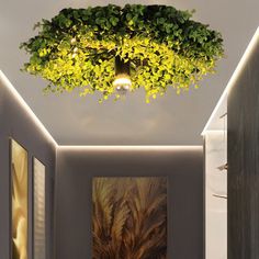 the hallway is lit up with lights and plants hanging from it's ceiling fixture