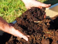 someone is holding out their hand full of composthed soil in a garden box