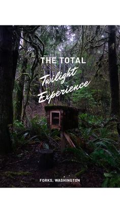 the total twilight experience by forks washington