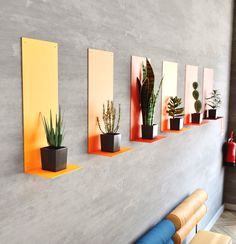 there are many potted plants on the wall