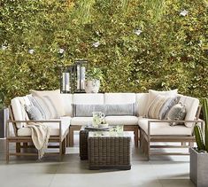 a living room with couches, tables and potted plants on the side wall