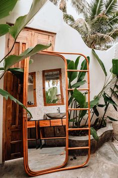 a mirror that is in the shape of a ladder next to a potted plant