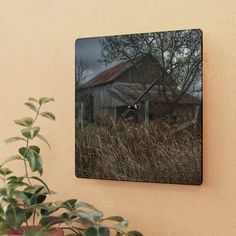 an old barn sits in the middle of tall grass near a potted green plant