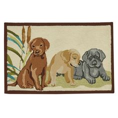 three puppies are sitting on the rug