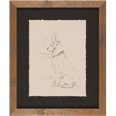 a drawing of a dog sitting in front of a window