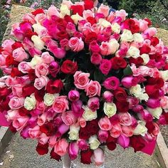 a large bouquet of pink and white roses in a woman's hand on the sidewalk