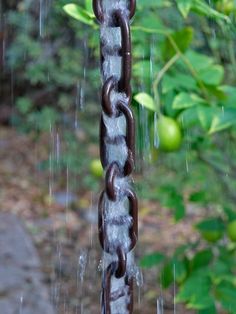 a chain is hanging from a tree in the rain