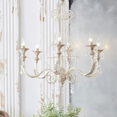 a white chandelier hanging from the ceiling next to a potted plant in front of a mirror