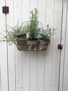 two pots with plants in them hanging from a wire basket on a white wooden wall