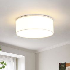 a white ceiling light in a room with a plant on the table and pictures on the wall