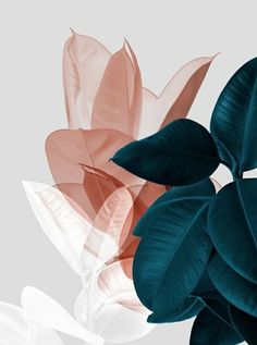 Geometric Watercolor Art, Image Zen, Frühling Wallpaper, Flower Background Wallpaper, Phone Wallpaper Images, Simple Wallpapers, Print Wallpaper, Boho Art, Flower Backgrounds