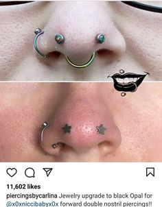 the nose has two different piercings on it