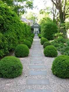 a stone path leads to a house surrounded by trees