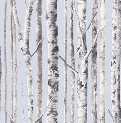 an abstract painting of white birch trees against a light blue background with no leaves on them