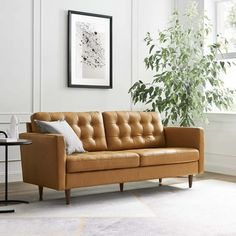 a living room with a couch, table and potted plant