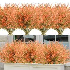 four different views of trees in front of a window with their leaves turning to orange