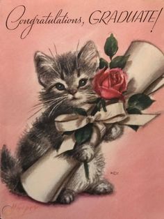 a painting of a kitten holding a rose with congratulations written on the front and side