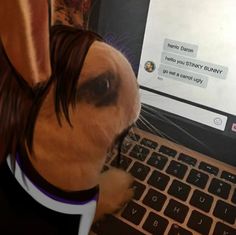 a dog is sitting in front of a laptop computer and looking at the screen with an angry look on its face