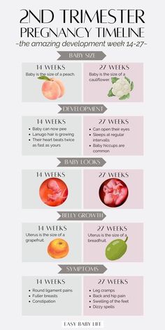 an info sheet showing the different types of fruit