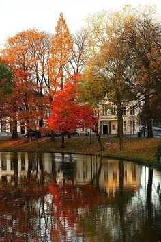 the trees are changing colors and reflecting in the water