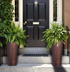 two potted plants are sitting on the steps in front of a door