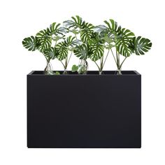 a black planter filled with lots of green plants