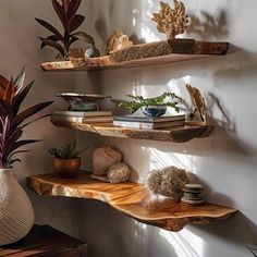 three wooden shelves with plants and rocks on them