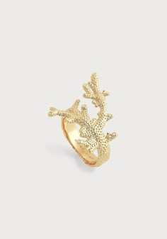 Coral Ring – Anabel Aram Coral Reef Jewelry, Ocean Clothes, Fantasy Earrings, Cool Piercings, Ocean Jewelry, Snake Jewelry, Coral Ring, Snake Earrings, Crashing Waves