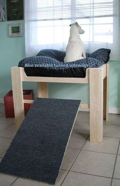 a white dog sitting on top of a wooden bench next to a black carpeted floor