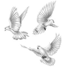 three white doves flying in the air with their wings spread out and facing different directions