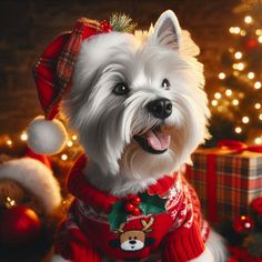 🌟 Image Of the Day 🌟 "Christmas Westie Dog" 📸 by Crimson Rose
Like and follow for more stunning free images! 💖
#FreeImage #Christmas #Westie #Dog #PublicDomain #CC0 #FreeToUse
https://www.publicdomainpictures.net/en/view-image.php?image=647831&picture=christmas-westie-dog