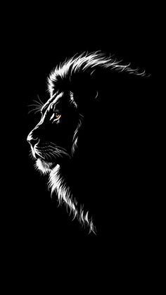 a black and white photo of a lion's face on a dark background,