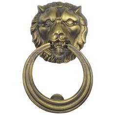 an antique brass lion head door knocket with a ring on the front and side