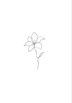 a drawing of a single flower on a white background