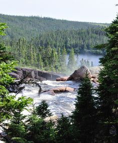 there is a river that has some rocks in the water and trees on both sides