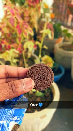 a hand holding an oreo cookie in front of some potted plants and flowers