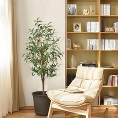 a living room with bookshelves and a chair next to a potted plant