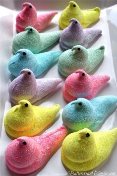 there are many different colored birds on the table