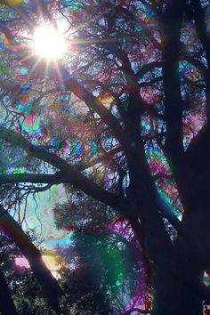 the sun shines brightly through some trees