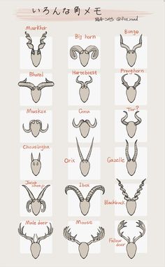 the different types of antelope's heads and their names in chinese characters