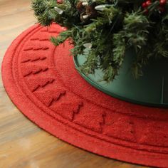 a potted plant sitting on top of a red rug