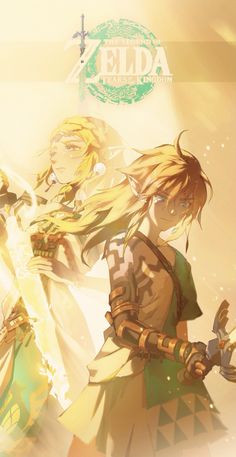 Totk Wallpapers, Zelink Fanart, Link And Midna, Legend Of Zelda Poster, Metallic Flowers, Zelda Totk, Zelda Game