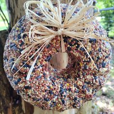 a bird feeder hanging from the side of a tree with a bow on it's head