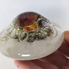 a hand holding a small glass object with moss and other things inside it on top of a rock