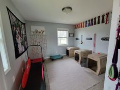 a room with several dog kennels in it and some pictures on the wall