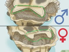 an image of a woman's head with the number 9 on it and two different images