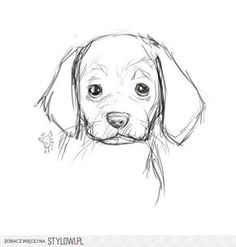 a drawing of a dog's face with one eye open and the other half closed